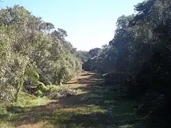 View of the Black River
