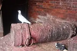Nepali Cannon