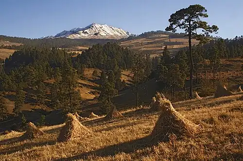 4. Nevado de Toluca in Mexico State.