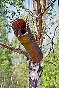 A birdbox made from a log.