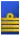 Captain