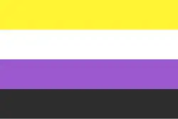 A picture of the non-binary pride flag. It is yellow, white, purple, and black.