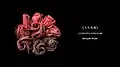 Nonuple Roses