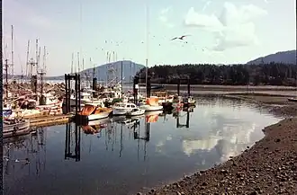 Boats docked at a pier in North Cowichan