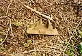A OIR track to sleeper pin in Drayton. The words stamped on it say it was made by the Great Western Railway in 1928. It was found in 2002.