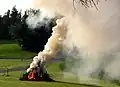 Bonfire smoking