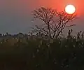 Okavango sunset