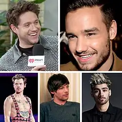 Lineup of One Direction from 2010–2015 and 2016. Clockwise from top left: Niall Horan, Liam Payne, Harry Styles, Louis Tomlinson, Zayn Malik