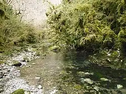 Near the source of the Arros.