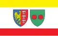 Flag of Bielsko-Biała
