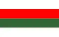 Flag of Piła