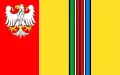 Flag of Łowicz County