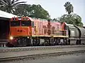 No. 2509 Shire of Three Springs (formerly 2009) and No. 2513 Shire of Morawa (formerly 2013) at Katanning in 2007.
