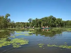 Upper Mississippi.