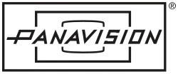 Pana Vision logo
