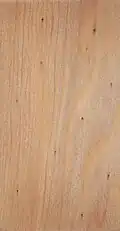 Parana pine