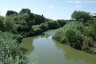 The River Foglia near Pesaro