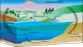 The Phosphorus cycle