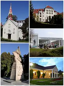 Sights of Piešťany. Top left: Chapel of the Sacred Heart of Jesus (Kaplnka Božského Srdca Ježišovho). Top right: Thermia Palace. Bottom left: Monument Thanks to the Liberators (Vďaka osloboditeľom). Bottom upper right: Colonnade Bridge. Bottom lower right: Napoleon's Spa Resort.