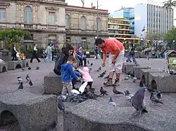 Plaza de la Cultura, San José
