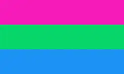 Polysexual[additional citation(s) needed]