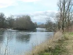 The Allier river near Pont-du-Château.