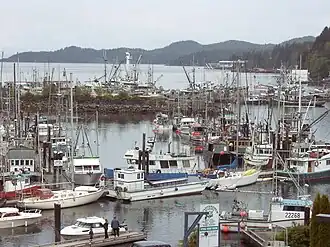 Boats docked at the harbour in Port Hardy