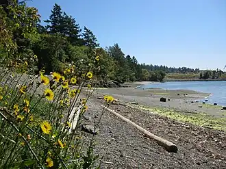 Portage Park on Thetis Cove in View Royal