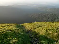 Source of the Moravice is located high in the Hrubý Jeseník Mountains