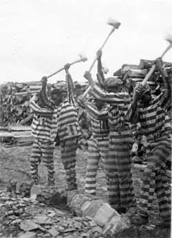 Prisoners cut wood in South Carolina