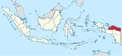 &nbsp;&nbsp; Papua in &nbsp;&nbsp; Indonesia