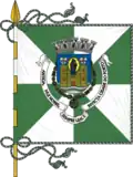 Flag of District of Porto