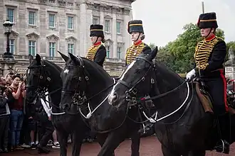 QE2 RIP - 06
