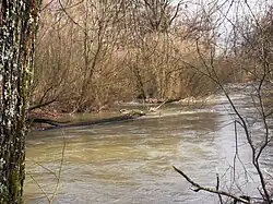 The Savoureuse at Nommay.