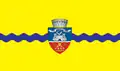 Flag of Arad