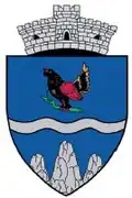 Coat of arms of Chiojdu