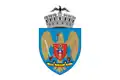 Flag of Bucharest