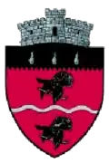 Coat of arms of Cârlibaba