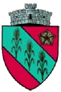 Coat of arms of Dărmăneşti