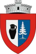 Coat of arms of Marginea