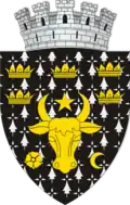 Coat of arms of Rădăuți