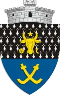 Coat of arms of Sucevița