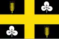 Flag of Raalte