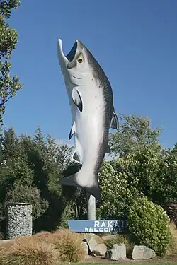 The Big Salmon of Rakaia