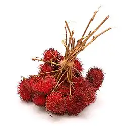 A bundle of fuzzy red rambutan fruits on woody stems