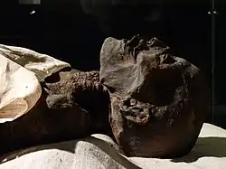 The mummified body of Ramses I (Luxor Museum, Egypt, 2016).