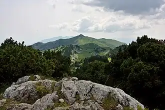 Le Reculet from the Crêt de la Neige