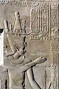 Ptolemy VIII