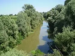 The river near Molinella