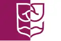 Flag of Rijssen-Holten